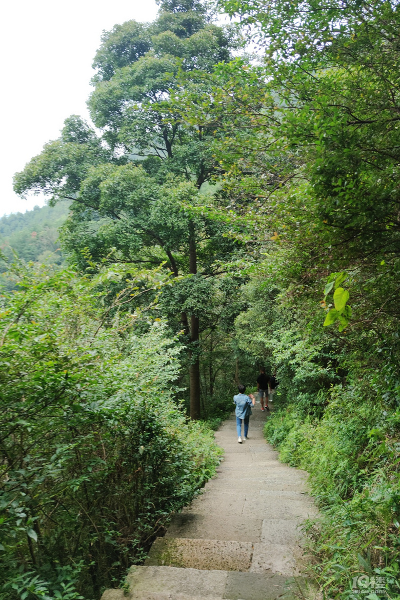 台州山路之曲20201005九峰公園