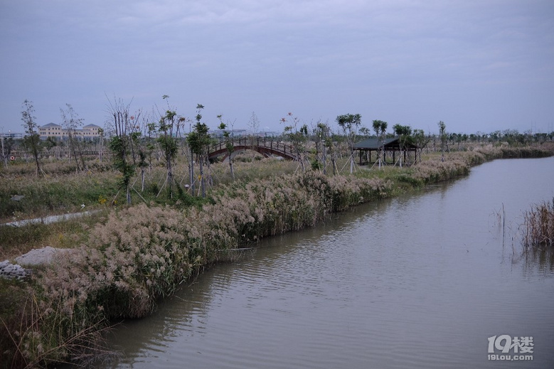 打卡台州灣溼地公園