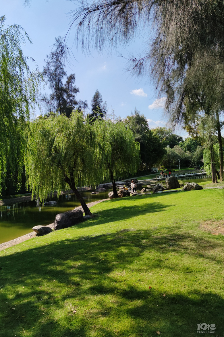 台州公园角落20201008永宁江公园