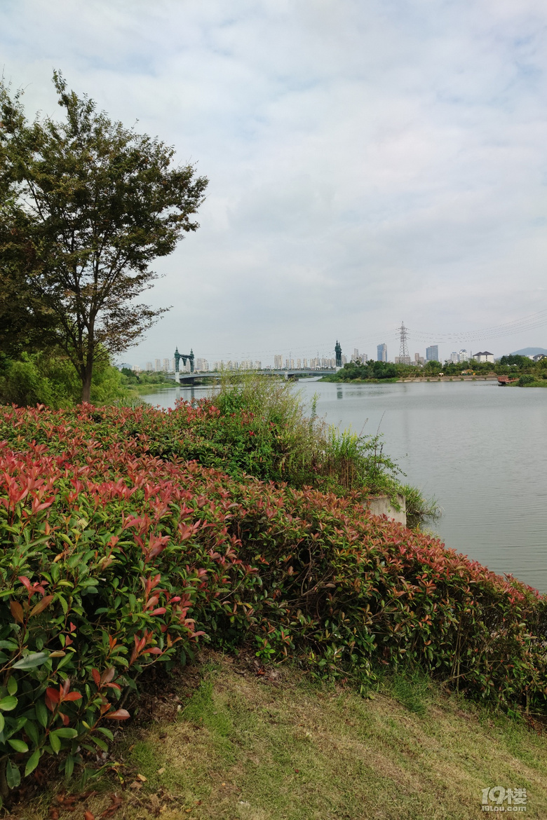 台州公園角落20201005永寧江公園