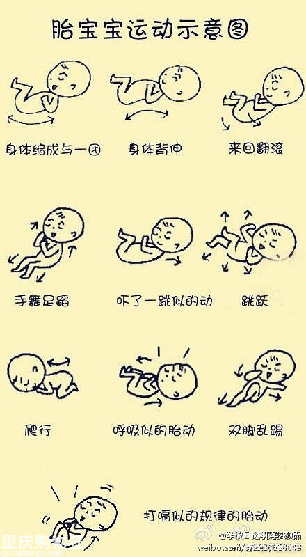 胎宝宝运动示意图看看小家伙一天都在肚子里面干什么