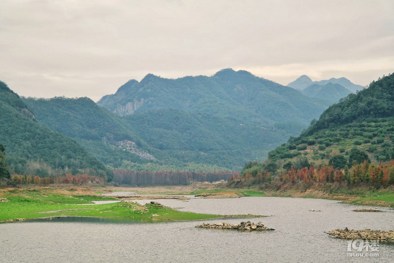 临海小芝红树林