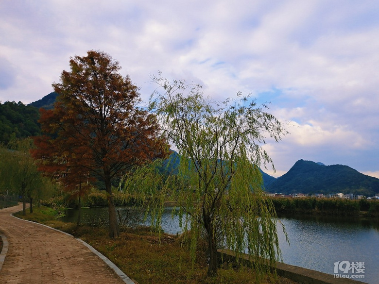 黃岩長潭水庫聯豐村紅樹林