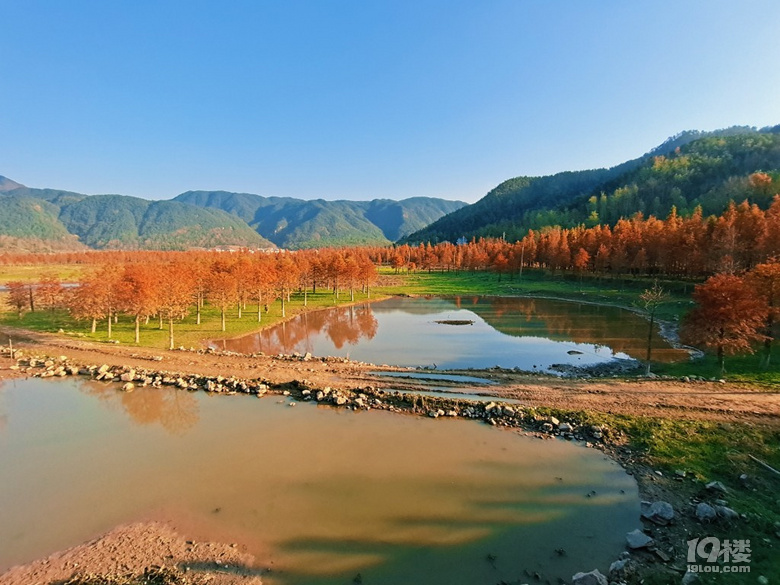 黃岩長潭水庫聯豐村紅樹林