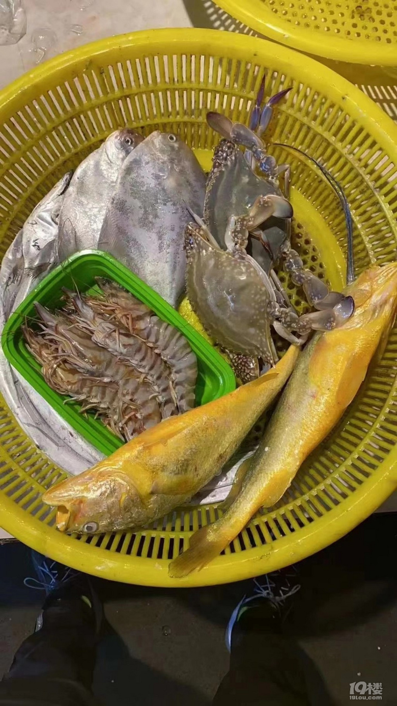 松门的海鲜确实大气新鲜