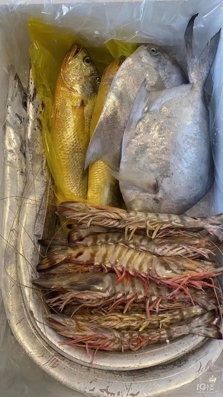 松门的海鲜确实大气新鲜