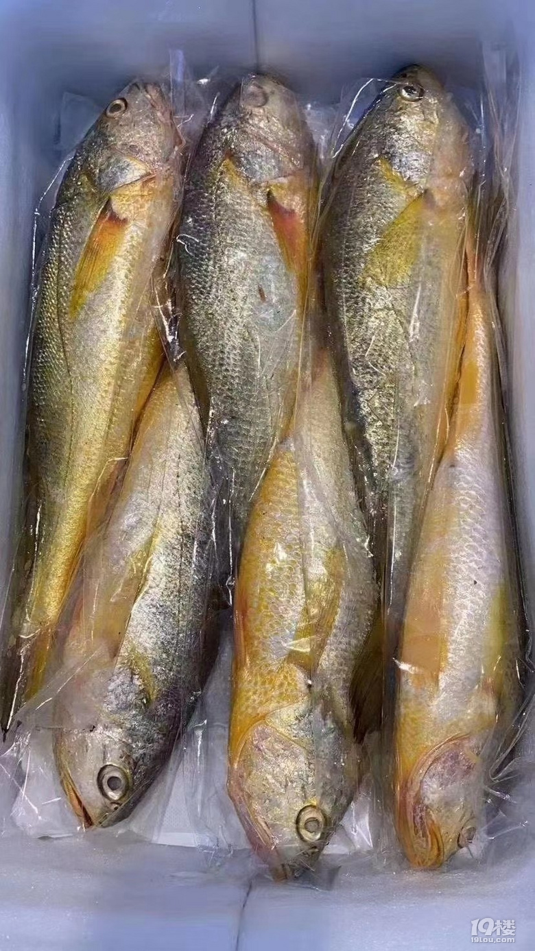 松门的海鲜确实大气新鲜