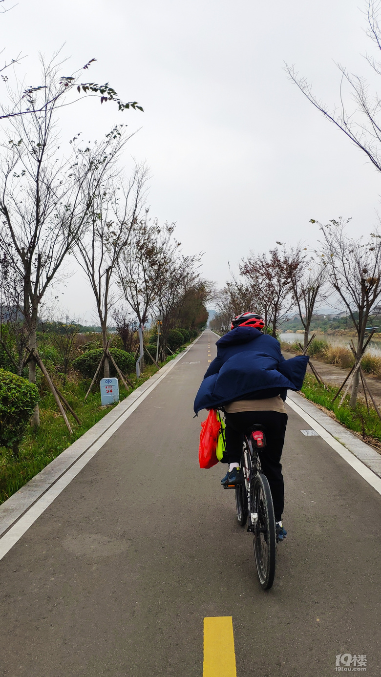 深秋在長潭水庫觀紅樹林