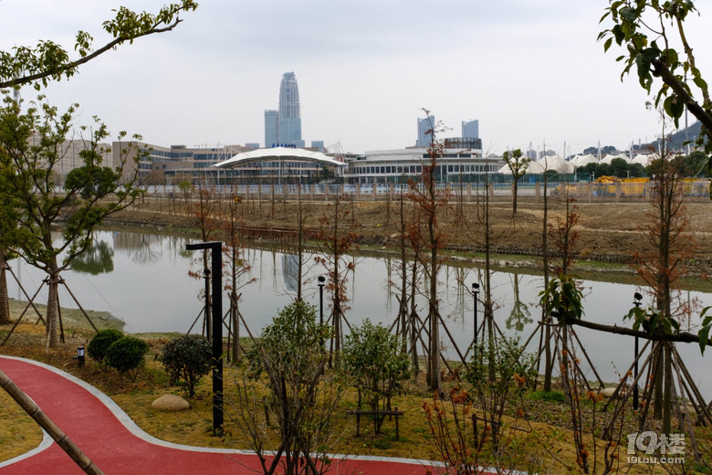 台州金洋湿地公园图片