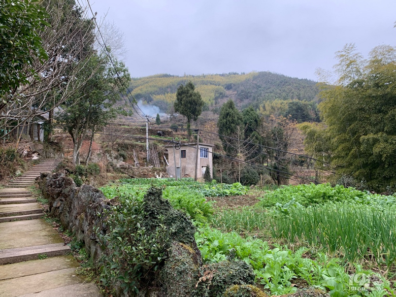 宁溪一日游半山古村落