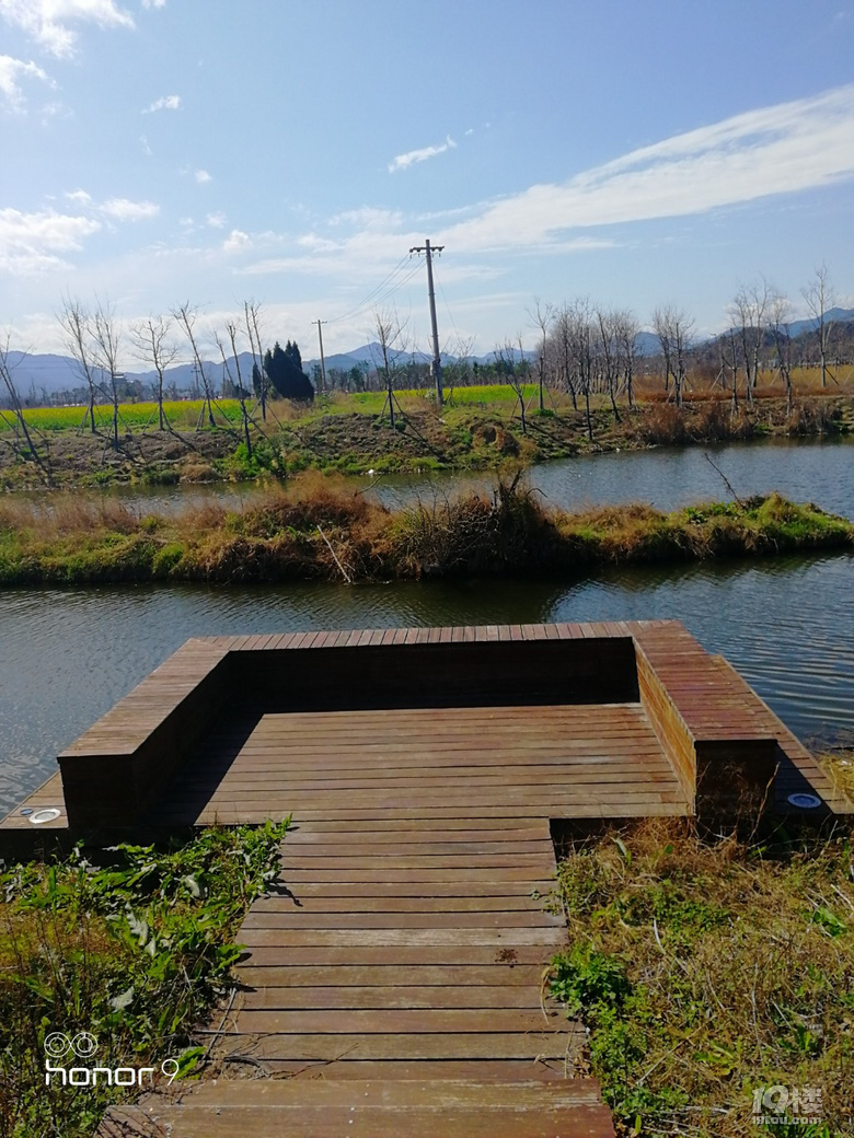 随手拍鉴洋湖湿地公园