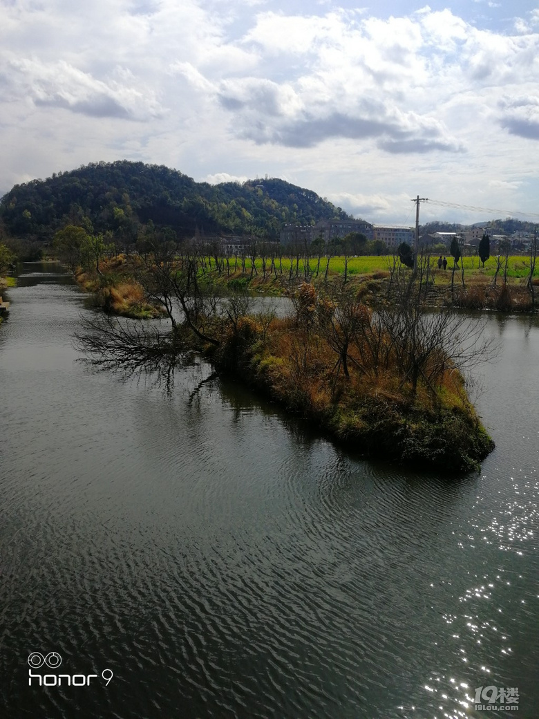 随手拍鉴洋湖湿地公园