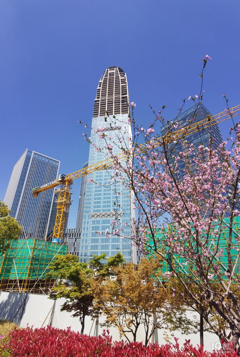 cbd-房产楼市-台州19楼