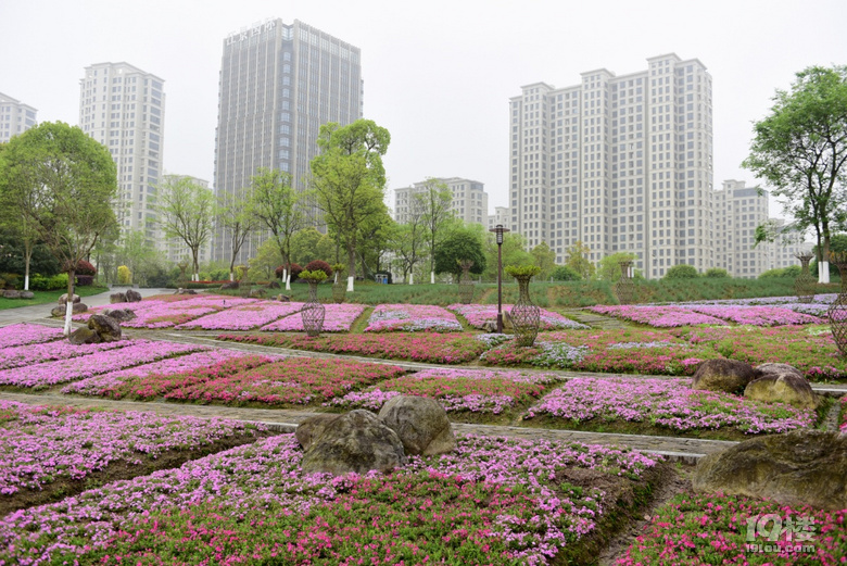临海伟星城公园春景