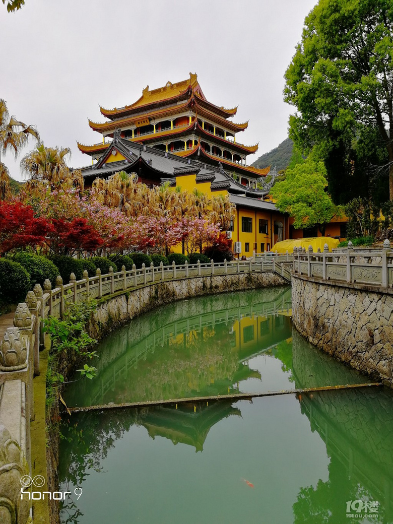 [随手拍]春雨中的广化寺-讲白搭-台州19楼