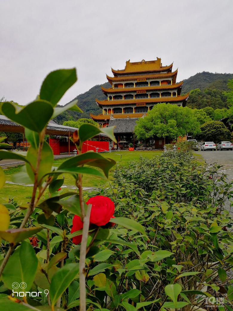 广化寺-摄影部落-台州19楼