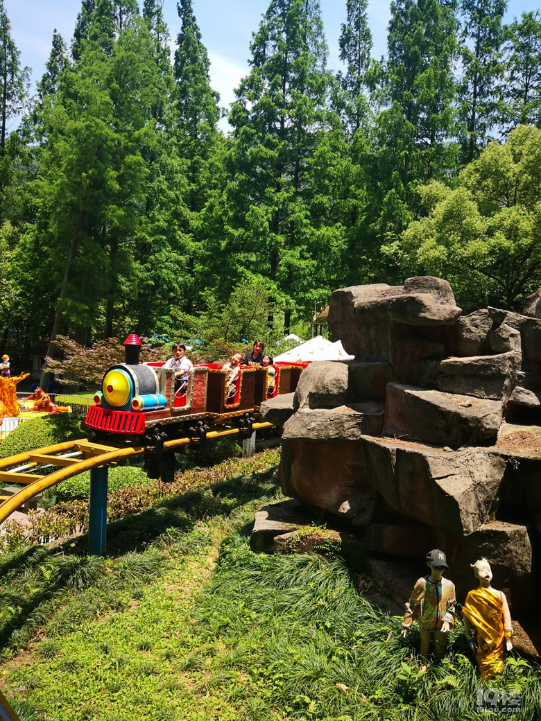 种草遛娃地九峰公园