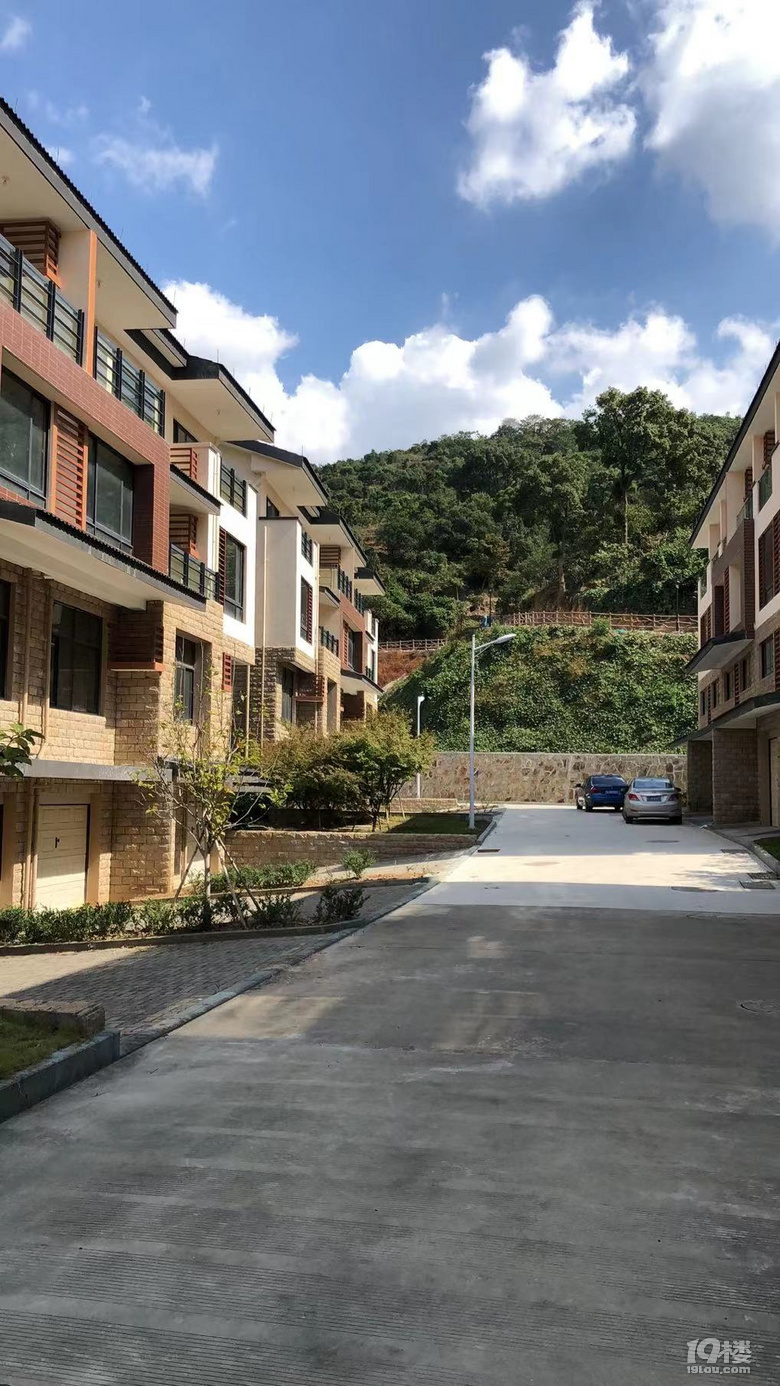 飞龙湖畔望湖嘉苑立地房出售