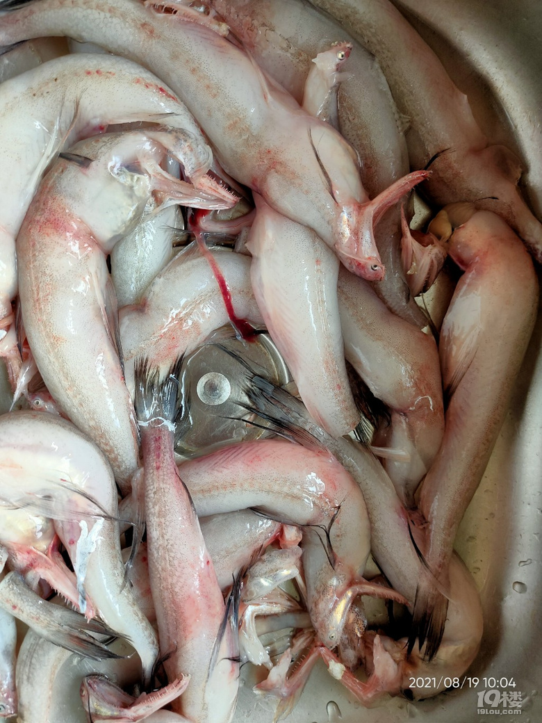 随手拍水潺两块钱一斤又回来了