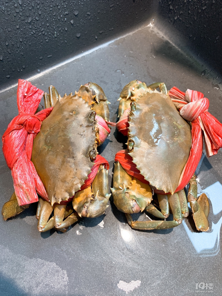 红膏青蟹