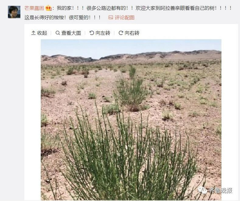 螞蟻森林種植區被質疑是荒地網友發問我的梭梭樹呢