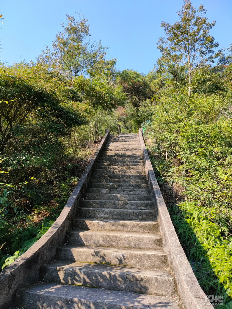 温岭楼旗山图片