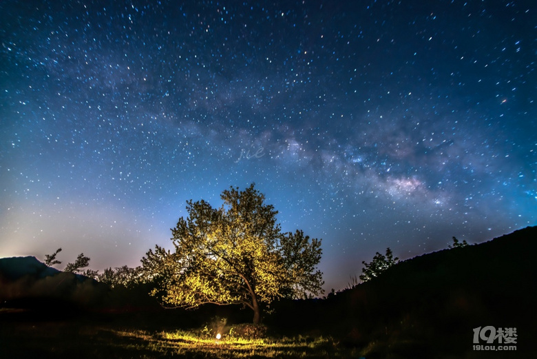 梨花树下望星空