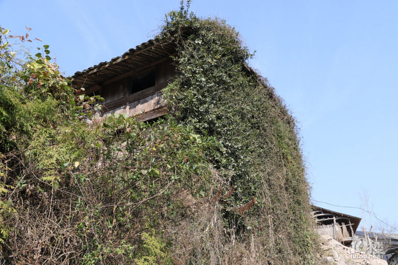 山村拾影之二仙居县大战乡下山头村