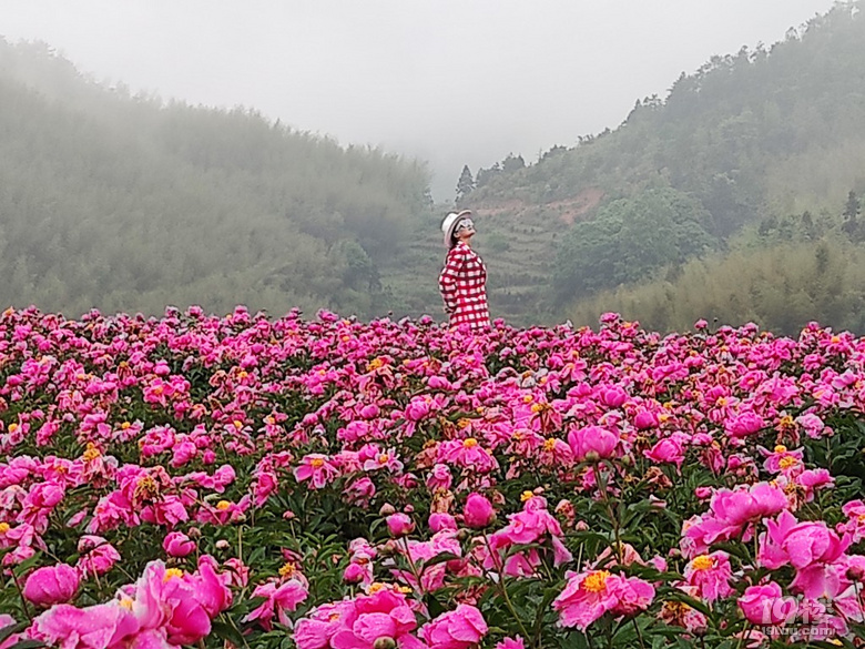 鮮花盛開的小山村