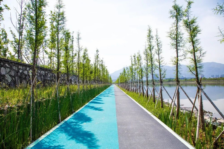 黄岩永宁江绿道下游段全线贯通