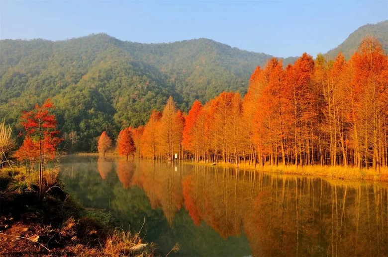 临海小芝镇进入"中国最美村镇"评审阶段