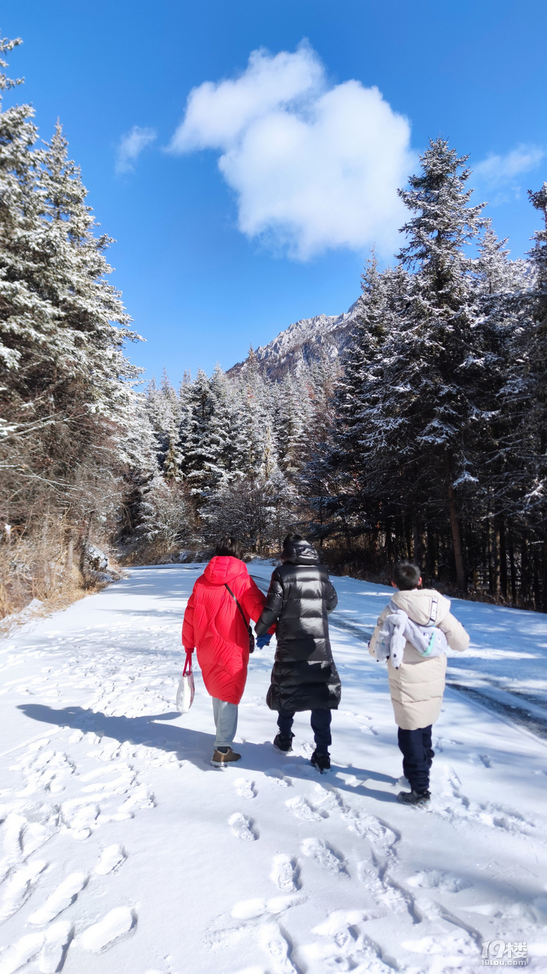 九寨沟冬日游，入住景区后后半夜大雪飘洒直至天亮结束，景区公交