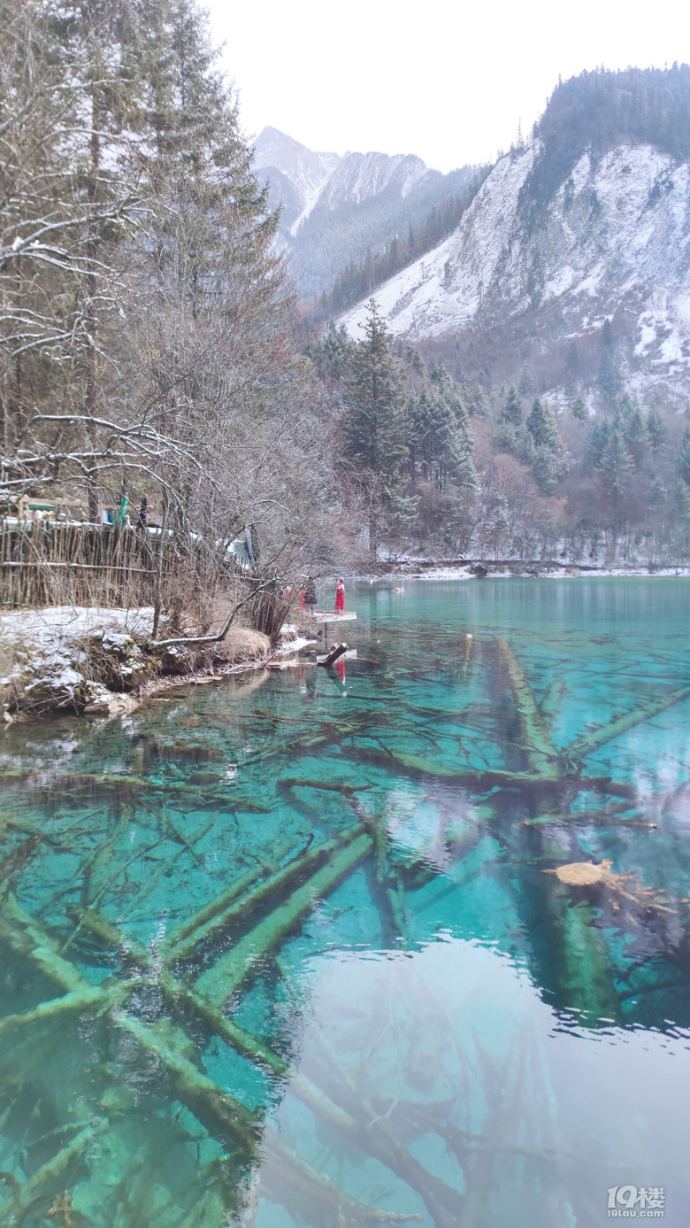 九寨沟冬日游，入住景区后后半夜大雪飘洒直至天亮结束，景区公交