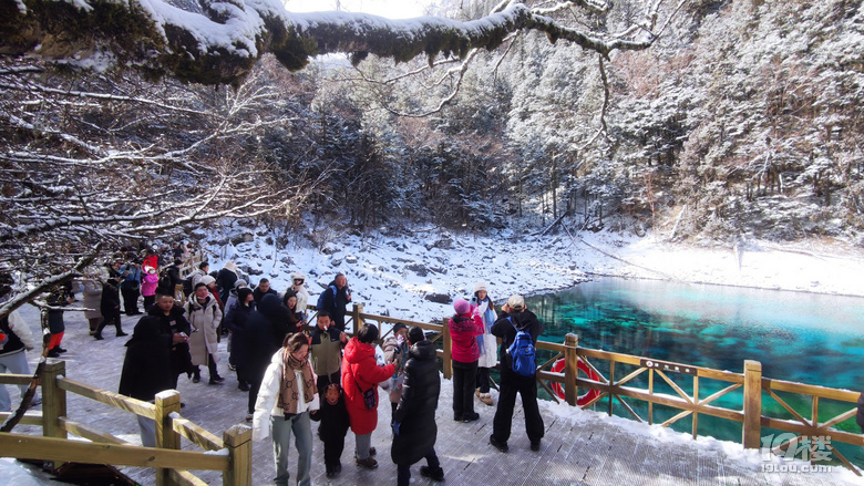 九寨沟冬日游，入住景区后后半夜大雪飘洒直至天亮结束，景区公交