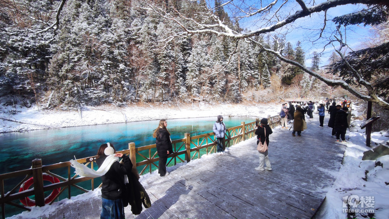 九寨沟冬日游，入住景区后后半夜大雪飘洒直至天亮结束，景区公交