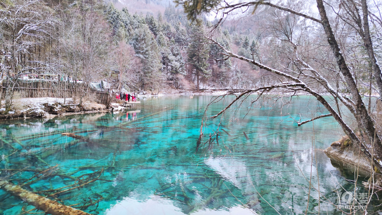 九寨沟冬日游，入住景区后后半夜大雪飘洒直至天亮结束，景区公交