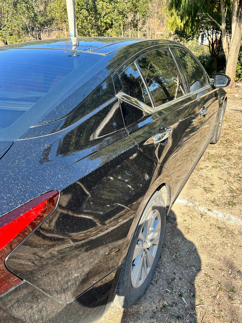 ����һ�ֳ�����