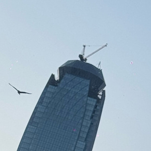 钻石顶慢慢浮现
