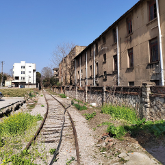 �ز�ȥ�Ĺ���