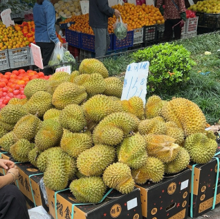 ��۸�ʲôˮƽ?