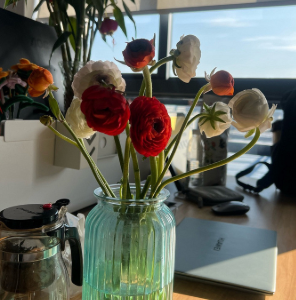 ��������