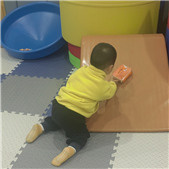 ���ָ��������