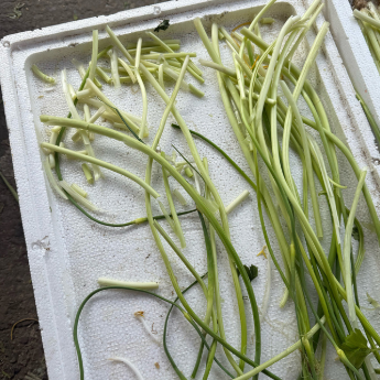 ��о27Ԫһ��