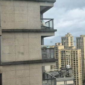 ����ᱻ��������