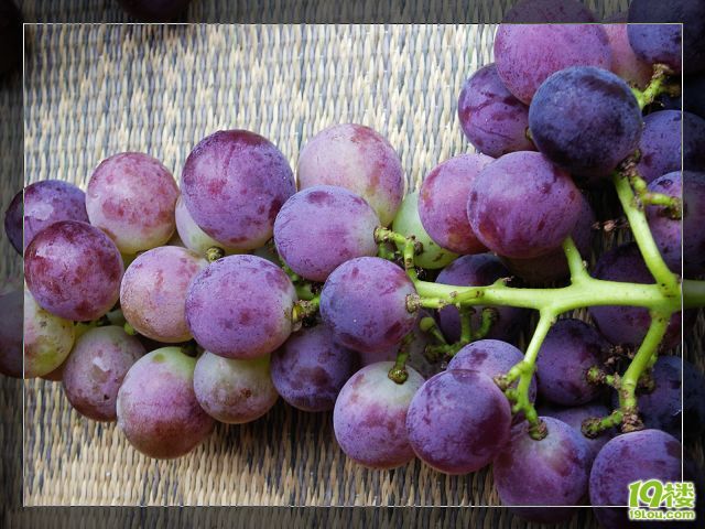 转临海大石的大葡萄