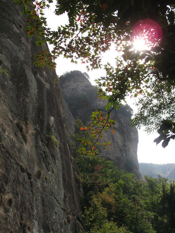 给大家介绍个好地方明岩
