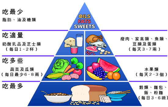 飲食金字塔圖片你關注不