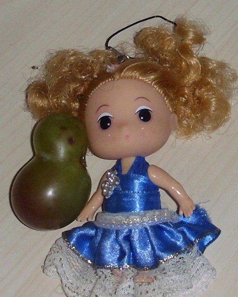 好吃的葡萄娃娃