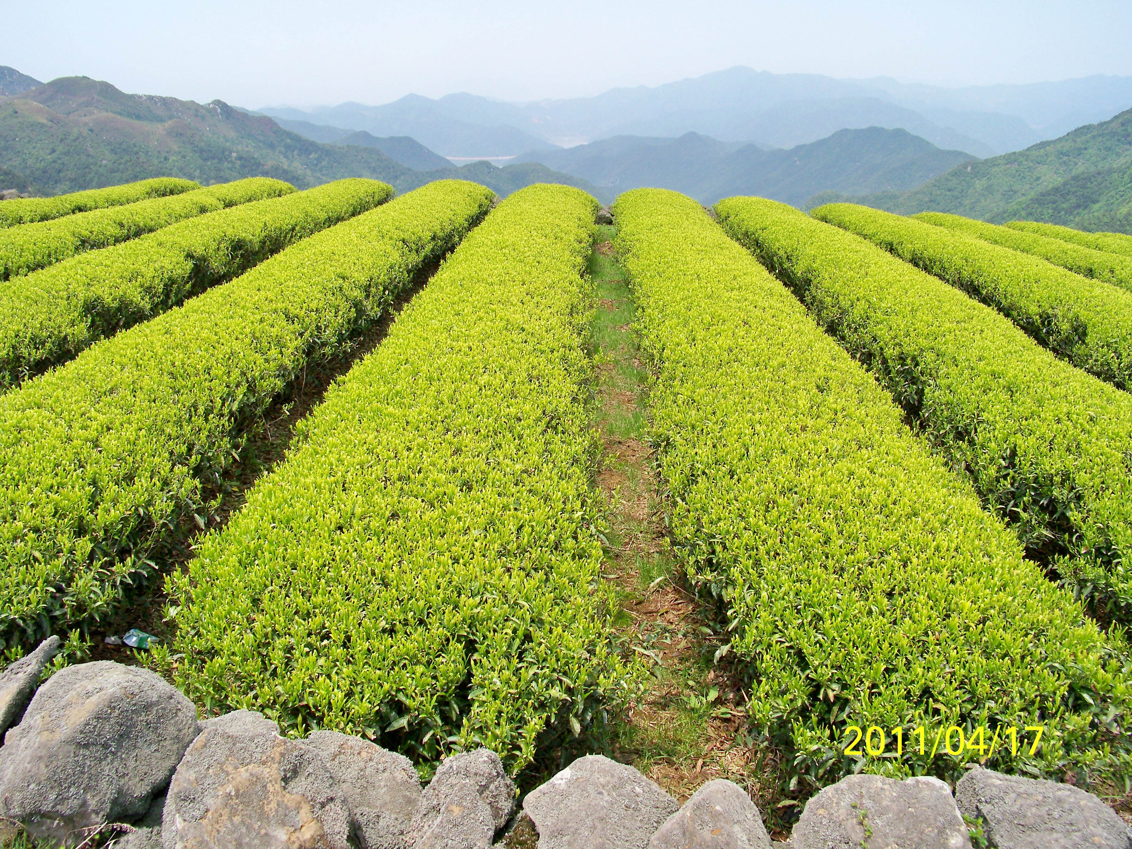 临海兰田山风景图片图片