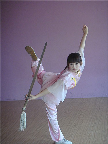 十五好剑术遍干诸侯三十成文章历抵卿相